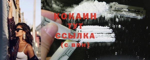 PSILOCYBIN Аркадак