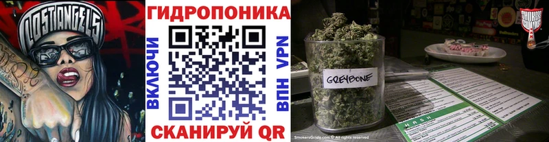 сколько стоит  Калтан  Каннабис Amnesia 